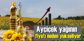 Son zamlar Ayçiçek yağını'da Vurdu!