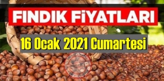 16 Ocak 2021 Cumartesi Türkiye günlük Fındık fiyatları, Fındık bugüne nasıl başladı