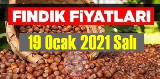 19 Ocak 2021 Salı Türkiye günlük Fındık fiyatları, Fındık bugüne nasıl başladı