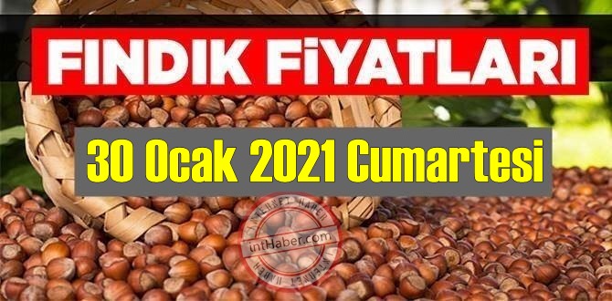 30 Ocak 2021 Cumartesi Türkiye günlük Fındık fiyatları, Fındık bugüne nasıl başladı