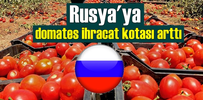 Rusya'ya domates ihracat kotası artırıldı