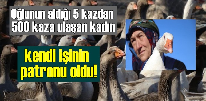 5 kazla başladı 500 kaz'la kendi işinin Sahibi oldu! Yurdun dört bir yanından talep geliyor!