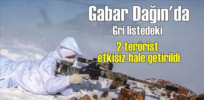 Gabar Dağın'da Operasyon, Gri listedeki 2 terörist etkisiz hale getirildi