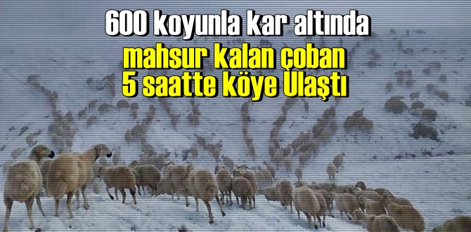 Kötü hava şartlarında yaylada mahsur kalan çoban, koyun sürüsüyle güçlükle köye ulaşabildi