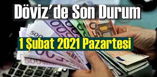 1 Şubat 2021 Pazartesi Ekonomi’de Döviz piyasası, Döviz güne nasıl başladı
