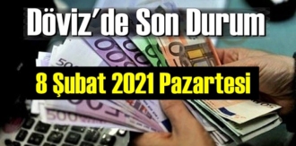 8 Şubat 2021 Pazartesi Ekonomi’de Döviz piyasası, Döviz güne nasıl başladı