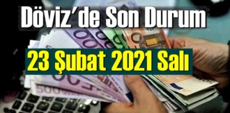 23 Şubat 2021 Salı Ekonomi’de Döviz piyasası, Döviz güne nasıl başladı