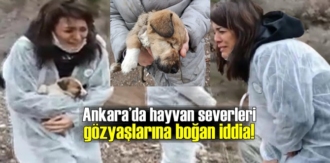 Ankara’da, Kızılcahamam ilçesinde bakımsızlıktan ölmek üzere olan onlarca sokak köpeğinin, dağlık alanda terk edildiği iddia edildi.