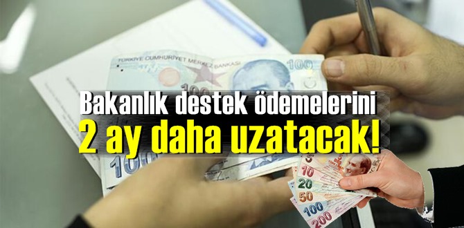 Bakanlık destek ödemelerini 2 ay daha uzatacak!..