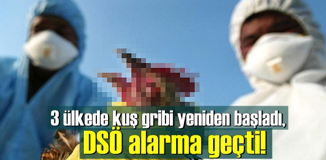 3 ülkede kuş gribi yeniden başladı, DSÖ alarma geçti!