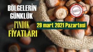 29 mart 2021 Pazartesi Türkiye günlük Fındık fiyatları, Fındık bugüne nasıl başladı