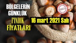 16 mart 2021 Salı Türkiye günlük Fındık fiyatları, Fındık bugüne nasıl başladı