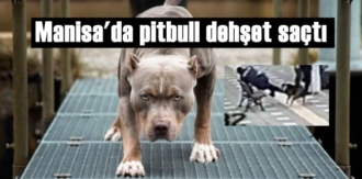Manisa’da pitbull cinsi köpek dehşet saçtı: 2 polisi yaralandı!