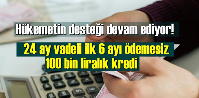 Hükemetin desteği devam ediyor! 24 ay vadeli ilk 6 ayı ödemesiz 100 bin liralık kredi