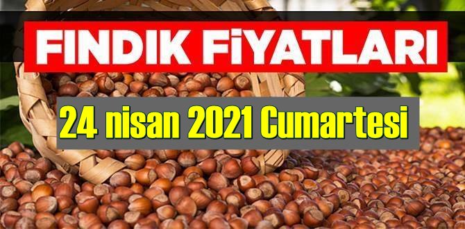 24 nisan 2021 Cumartesi Türkiye günlük Fındık fiyatları