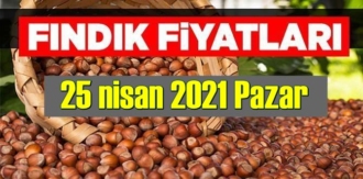 25 nisan 2021 Pazar Türkiye günlük Fındık fiyatları