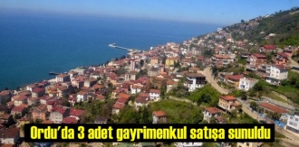 Ordu'da 3 adet gayrimenkul satışa sunuldu