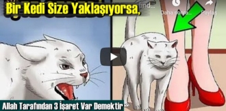 Allah tarafından i̇saret