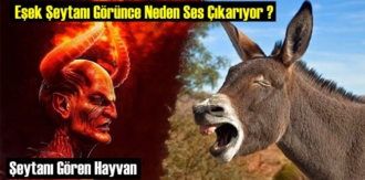 Şeytanı Gören Hayvanlar Neden Ses Çıkarıyor?