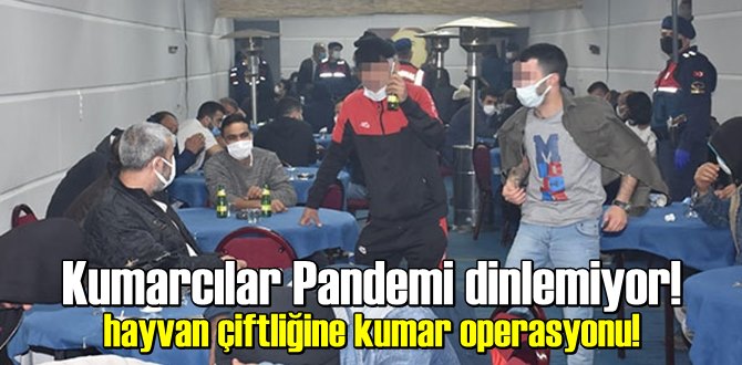 Kumarcılar Pandemi dinlemiyor!