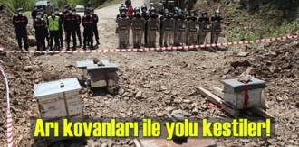 Karadeniz’in termal ve kış turizmi için yeni turizm destinasyonu alanı olarak belirlenen ve Kültür ve Turizm Bakanlığı’nca ‘örnek yayla’ modellerinin uygulanacağı iki noktadan biri seçilen doğal sit alanı Rize’nin İkizdere Vadisi Gürdere ve Cevizlik köyünde açılması planlanan ve 16 milyon tona yakın taşın alınacağı bazalt ocağı projesi tepkilere yol açtı. Yeşil vadinin doğal güzelliğinin yok olacağını, köylerinin ellerinden gideceğini savunan yöre halkı, ‘yatırıma değil, yanlış yer seçilen taş ocağına karşıyız’ mesajı ile bir hafta önce nöbete başladı. Köylerinde çay ve bal üretimi yaptıklarını anlatan bölge halkı, İyidere’de deniz doldurularak yapılacak lojistik liman projesi için planlanan taş ocağının daha yakın, daha az maliyetli ve doğaya zarar vermeyecek başka bir alanda açılmasını istiyor. ARI KOVANLARI İLE YOLU KESTİLER Taş ocağı için vadiye getirilen iş makineleri yörede tansiyonu yükseltti. Önceki gün jandarmalar eşliğinde alana sokulmak istenen iş makinelerinin önünü kesmeye çalışanlara askerler müdahale etti. Uzaklaştırılan grup, gece orman içi yollardan getirdikleri arı kovanlarını yola yerleştirdi. Yöre halkı jandarma eşliğinde alana sokulmak istenen iş makinelerinin önünü arı kovanları yerleştirerek kesti. Arı sokması tehlikesi nedeniyle kovanlara müdahale edemeyen ekiplerin giremediği alana gelen İlçe Tarım ve Orman Müdürlüğü ekipleri, halkı kovanları kaldırmaları yönünde uyardı. KISITLAMAYI İHLAL CEZASI Jandarma ekipleri sokağa çıkma kısıtlamasını ihlal ettiklerini belirttiği bölge halkını uyardı. Gruptakiler çiftçi olduklarını ve alanda tarım ve arıcılıkla uğraştıklarını belirterek yasağı ihlal etmediklerini savundu. Jandarma ekipleri kimliklerini belirlediği kişilere sokağa çıkma kısıtlamasını ihlalden para cezası uyguladı. Bölge halkı ile görevliler arasında tartışmalar yaşandı. Vadi girişinde nöbet köylüler ile jandarma ve ekiplerin iş makineleri ile bekleyişi sürüyor. ‘ARILAR BİZİM KORUMAMIZ’ Gürdere köyü halkından Ayşe Baş, “Bu yol arılar için açılmıştı. Mayıs ayında buraya arı getirilir, bal üretimi yapılırdı. Kestane balı olur, deli bal olur burada. Şimdi de arılar bizim korumamız oldu, arıları geçemeyecekler” dedi. Asuman Fazlıoğlu ise “Bu vadide sayısız arı var. Ağaçlar kovanlarla dolu. Arılar da şimdi kendi savunma haklarını kullanıyor. Onlar da ‘burada biz de varız’ diyor. Arılardan dolayı ekiplerin, makinelerin geçme şansı yok. Arıları şimdi kaldırırsak tehlikeli olur. Tüm canlıların kendilerini savunma hakları var. Bizim yaptığımız onların sözcülüğünü yapmak” ifadelerini kullandı. Yüksel Baş da “Nöbetimiz sürüyor. Jandarma aşağıdan girişe izin vermeyince ormanlarının içerisinden yürüyerek geldik. Biz çaylarımızı bahçemizi kimseye vermeyiz, ninelerimiz, dedelerimiz, köyümüzü elleriyle yaptılar, bizim başka gidecek yerimiz yok” dedi.