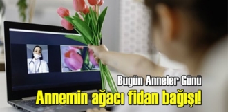 fidan sahiplenme kampanyası!