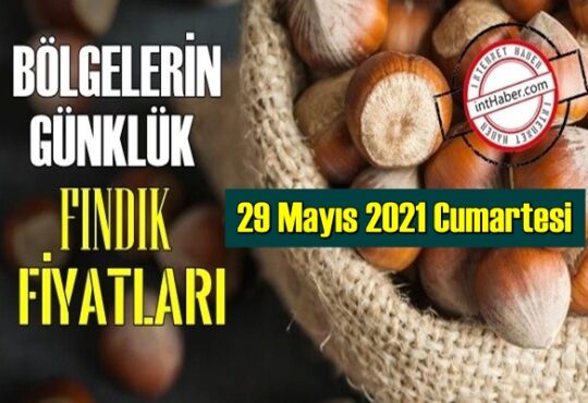 29 Mayıs 2021 Cumartesi Türkiye günlük Fındık fiyatları