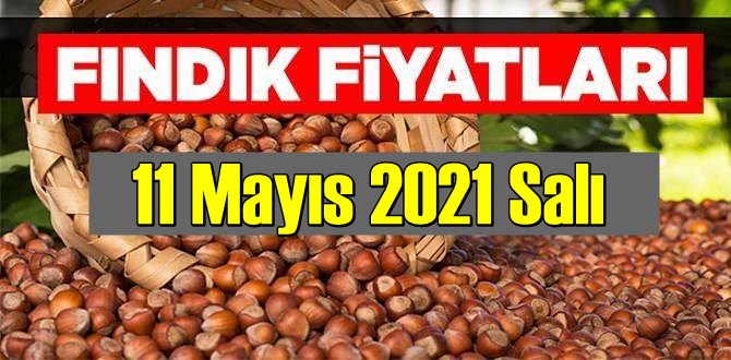 11 Mayıs 2021 Salı Türkiye günlük Fındık fiyatları