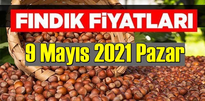 9 Mayıs 2021 Pazar Türkiye günlük Fındık fiyatları