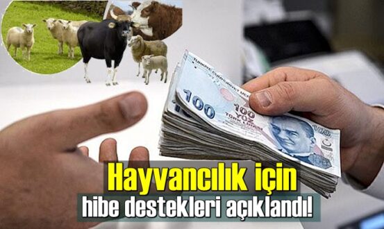 Cumhurbaşkanı Erdoğan imzalı yeni bir destekleme kararı Resmi Gazete'de yayımlandı.