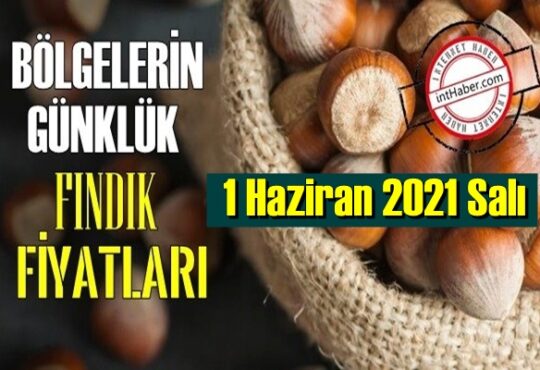 1 Haziran 2021 Salı Türkiye günlük Fındık fiyatları