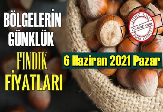 6 Haziran 2021 Pazar Türkiye günlük Fındık fiyatları