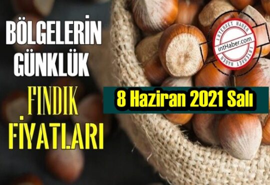 8 Haziran 2021 Salı Türkiye günlük Fındık fiyatları