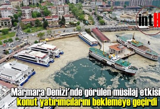 Marmara Denizi'nde görülen müsilaj etkisi, konut yatırımcılarını beklemeye geçirdi.