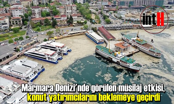 Marmara Denizi'nde görülen müsilaj etkisi, konut yatırımcılarını beklemeye geçirdi.