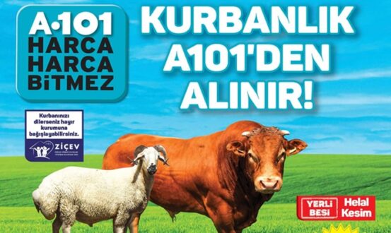 A101 de 2021 Yılı Kurbanlık'ta Kampanya! Güncel Kurbanlık Fiyatları haberimizde