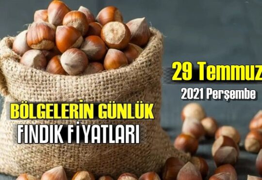 Günlük Fındık fiyatları, 29 Temmuz 2021 Perşembe bugünün Fındık fiyatları