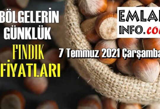 Günlük Fındık fiyatları, 7 Temmuz 2021 Çarşamba bugünün Fındık fiyatları