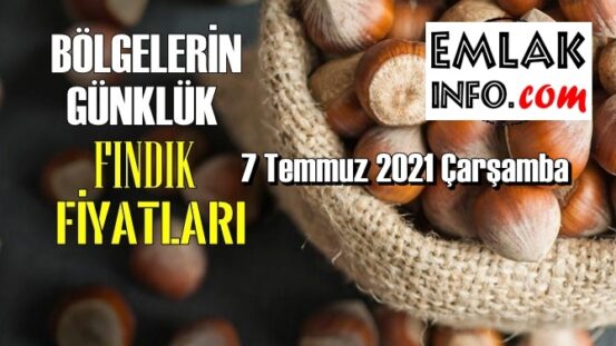 Günlük Fındık fiyatları, 7 Temmuz 2021 Çarşamba bugünün Fındık fiyatları