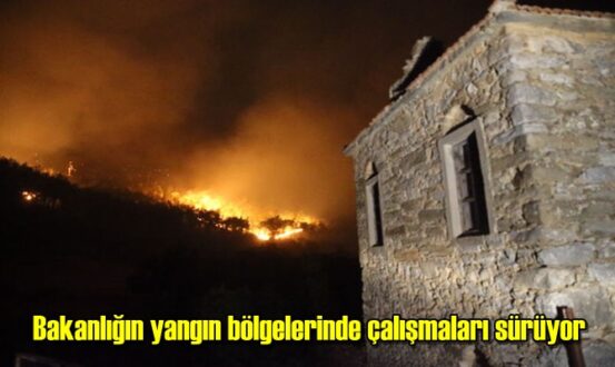 Bakanlığın yangın bölgelerinde çalışmaları sürüyor