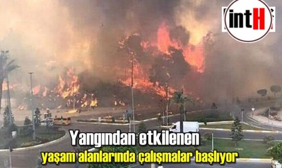 Yangından etkilenen yaşam alanlarında çalışmalar başlıyor