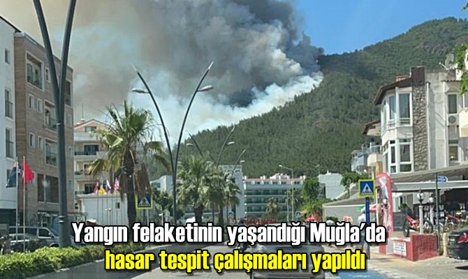 Yangın felaketinin yaşandığı Muğla'da hasar tespit çalışmaları yapıldı