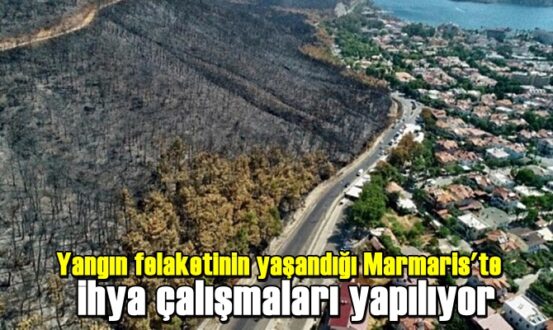 Yangın felaketinin yaşandığı Marmaris'te ihya çalışmaları yapılıyor
