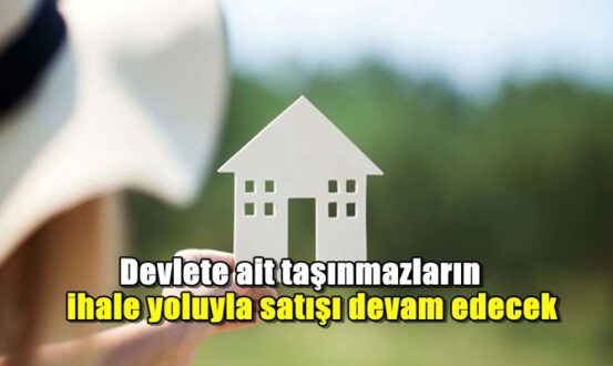 Devlete ait taşınmazların ihale yoluyla satışı devam edecek