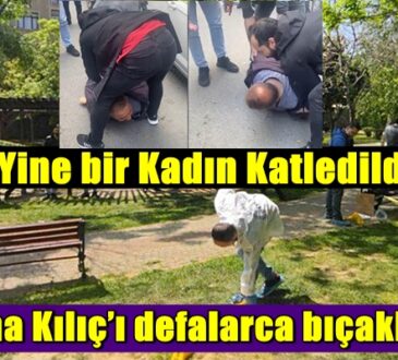 Yine bir Kadın Katledildi! İstanbul Ataşehir’de, Parkta eşini ölürdü