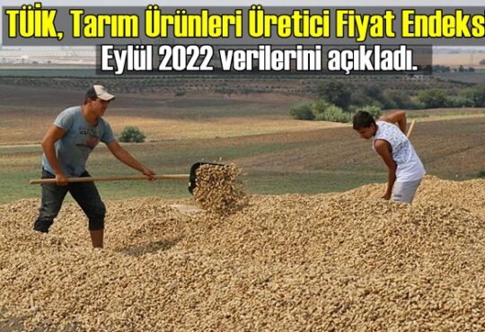TÜİK, Eylül 2022 Tarım Ürünleri Üretici Fiyat Endeksi verilerini açıkladı.