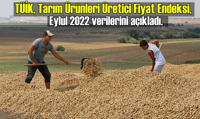 TÜİK, Eylül 2022 Tarım Ürünleri Üretici Fiyat Endeksi verilerini açıkladı.