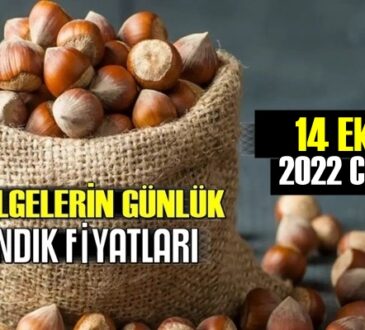 Günlük Fındık fiyatları, 14 Ekim 2022 Cuma bugünün Fındık fiyatları