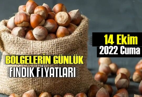 Günlük Fındık fiyatları, 14 Ekim 2022 Cuma bugünün Fındık fiyatları