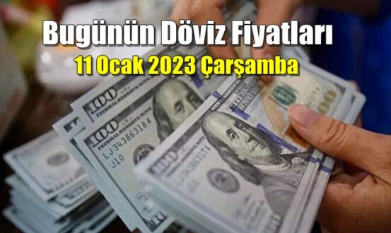 Döviz piyasası